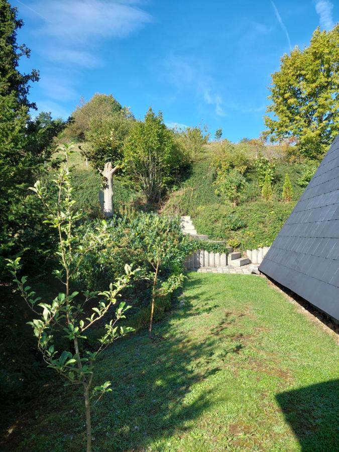 Haus Am See Willingen מראה חיצוני תמונה